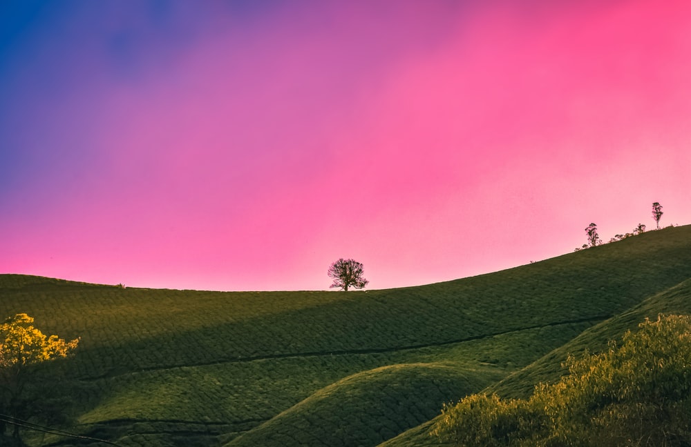 ჩვენ შესახებ